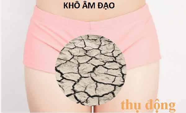 Sử dụng quá nhiều gel bôi trơn có thể khiến âm đạo trở nên thụ động và không thể sản sinh ra chất bôi trơn tự nhiên