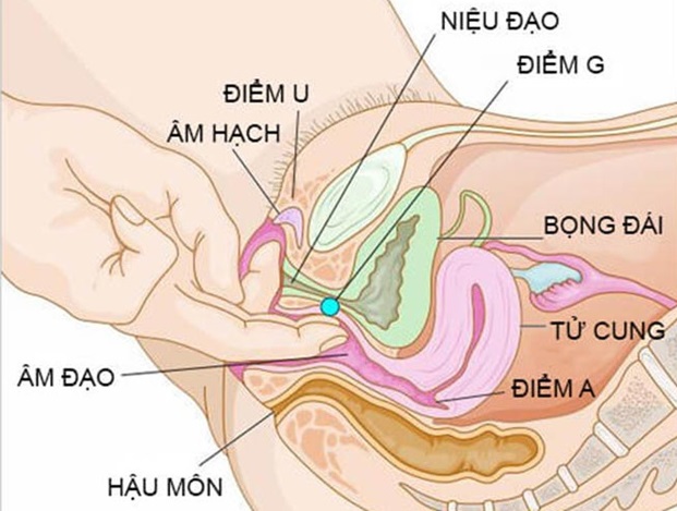 Kích thích tư thế của cô ấy